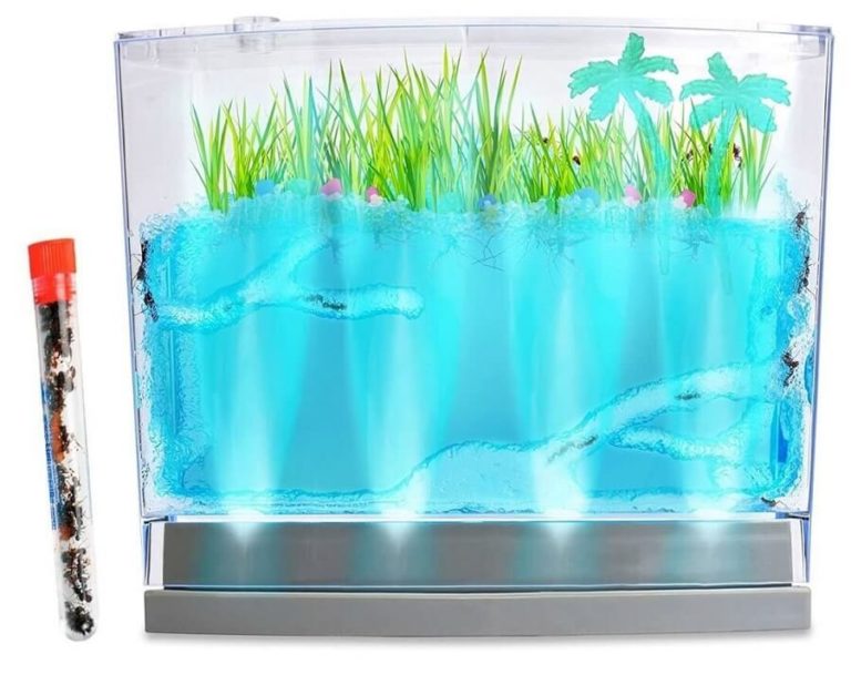Uncle Milton Ant Farm Shipped with Live Ants Butterfly and Nature Gifts