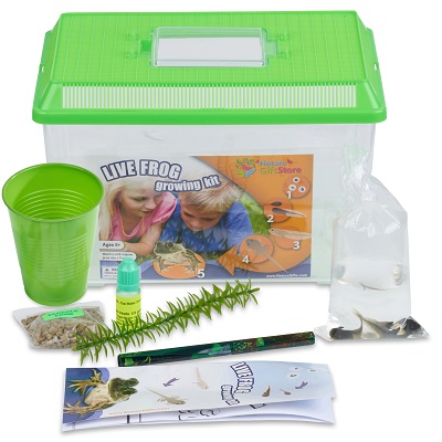 Grow a Frog Kit: Leopard Frog Tadpoles - Butterfly and Nature Gifts