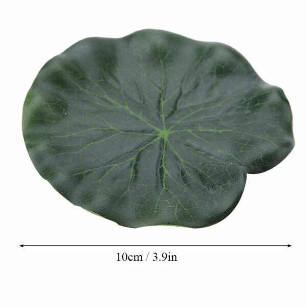 dry-land-lily-pad