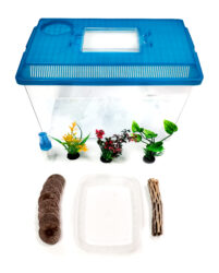 pet-frog-kit01-201x250